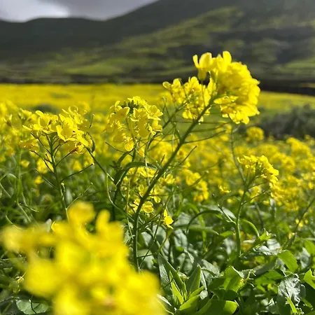 Casa Paula * كوراليهو