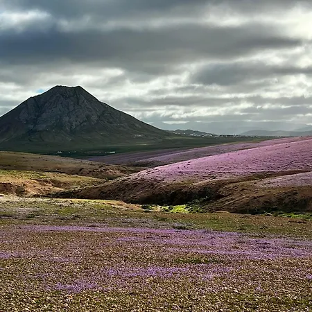 Casa Paula Hébergement de vacances