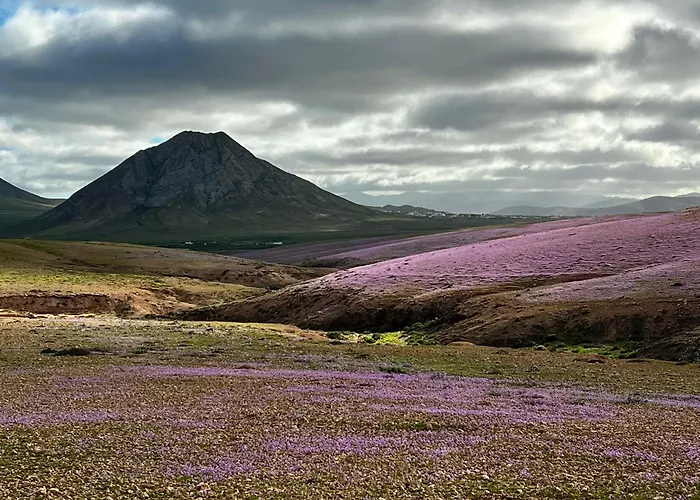 Casa Paula Casa vacanze